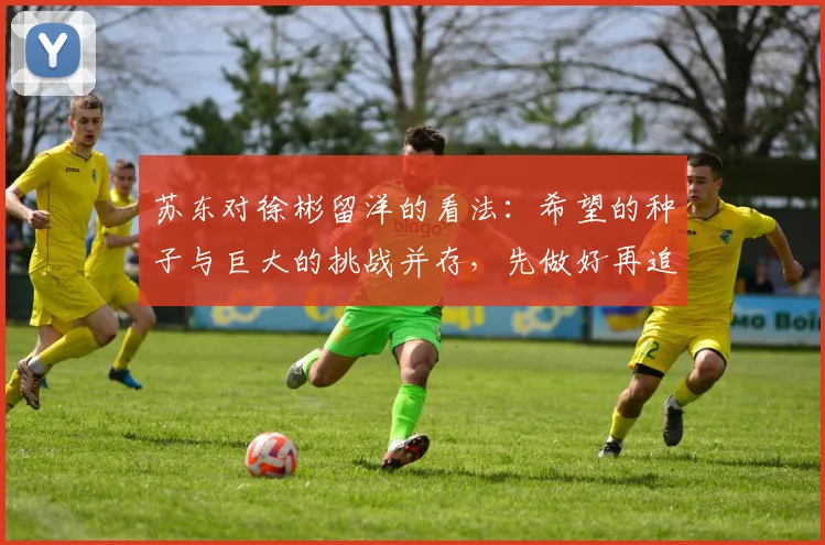 苏东对徐彬留洋的看法：希望的种子与巨大的挑战并存，先做好再追求完美